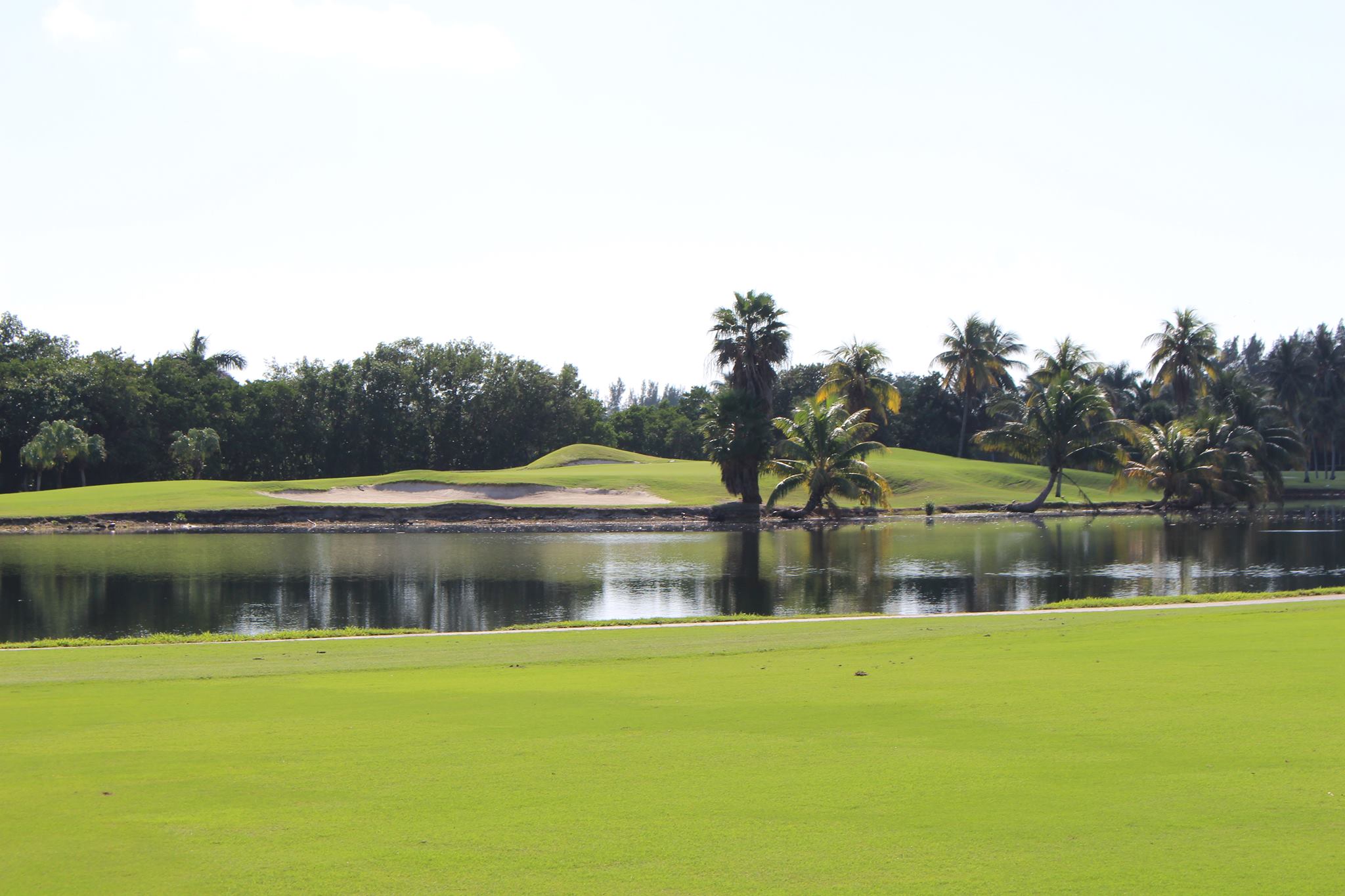 A view from one of the greens across a water hazard, met with a few bunkers a hill, and a wall of palm trees.