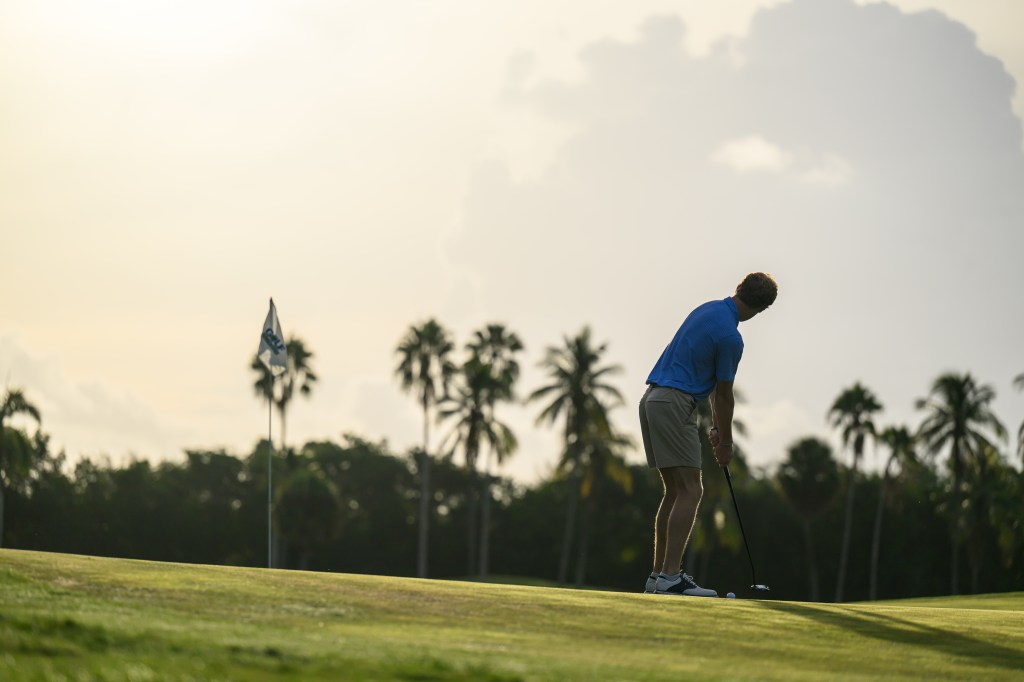 Golfer in a blue shirt lines up a putt on a palm-lined course at sunset.