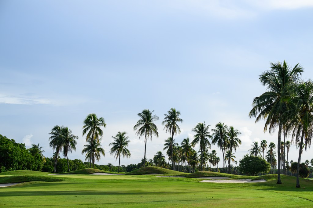 Palm trees lined along Crandon Golf Course with rolling fairways and sand bunkers under a clear blue sky.